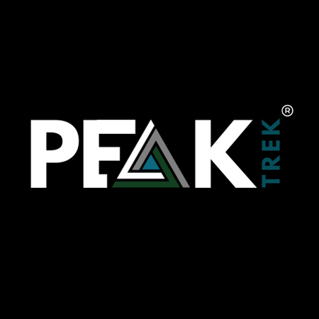 Logo11